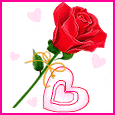 il love you